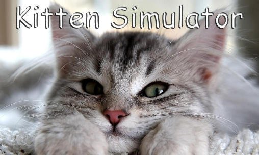 download Kitten simulator apk